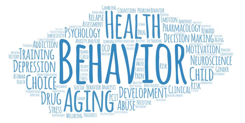 Word Art of Psychology Faculty Research Topics 